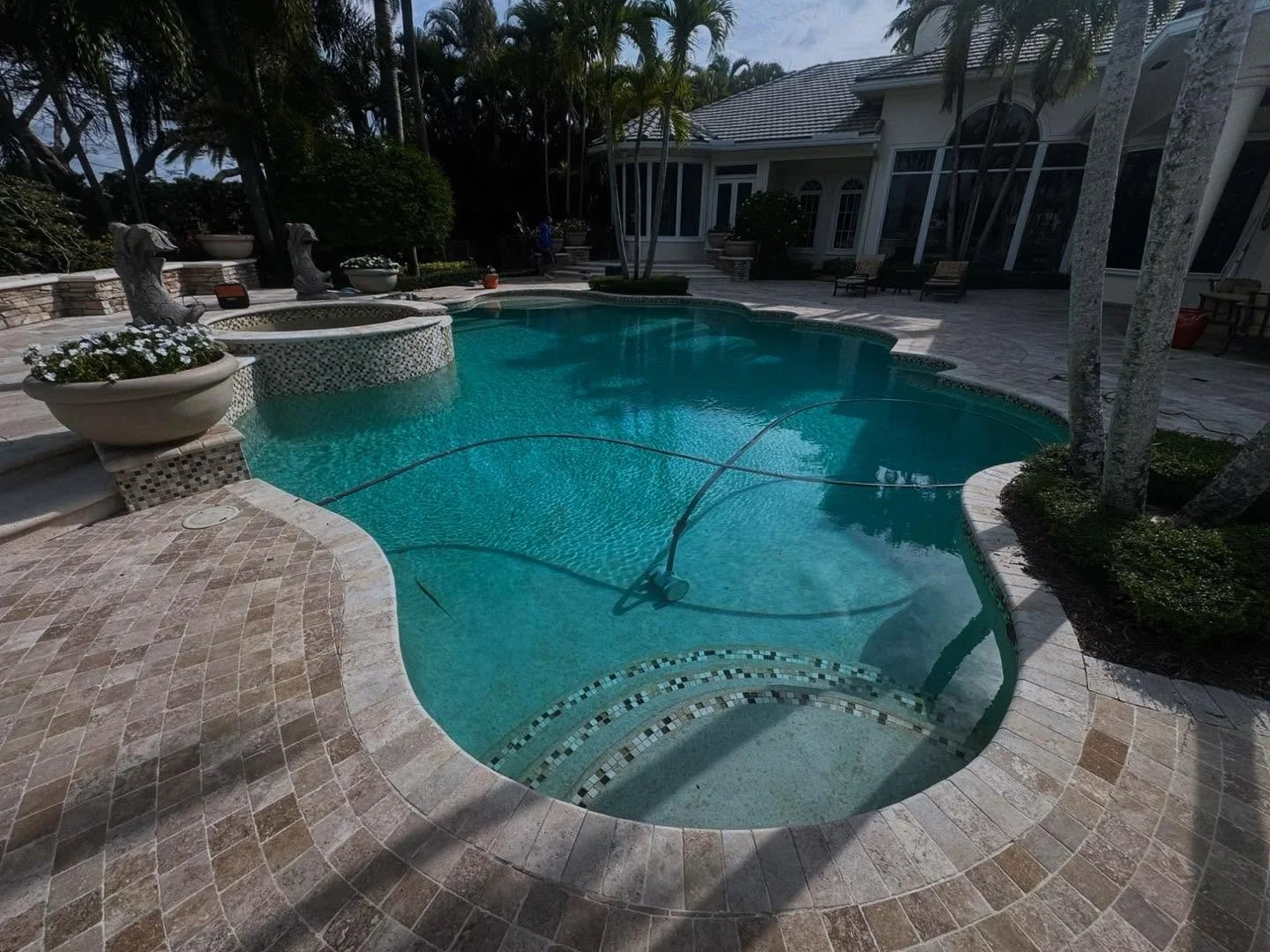 A new month of pool renovations ahead ☀️
.
.
.
#BetterCallSalPools #PoolDesign #PoolRenovation #PoolTile #PoolPavers