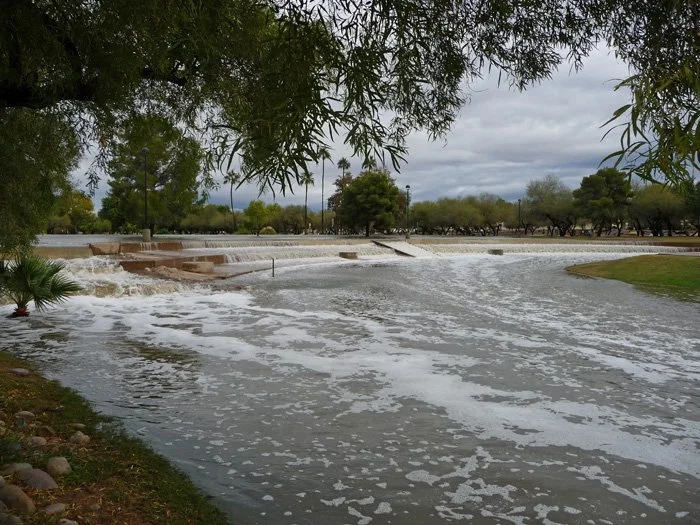 A park with floodwaters covering the ground, with trees and a cloudy sky in the background.