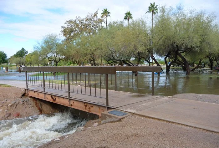 Flooded park with a small bridge over rushing water, trees, and palm trees in the background.