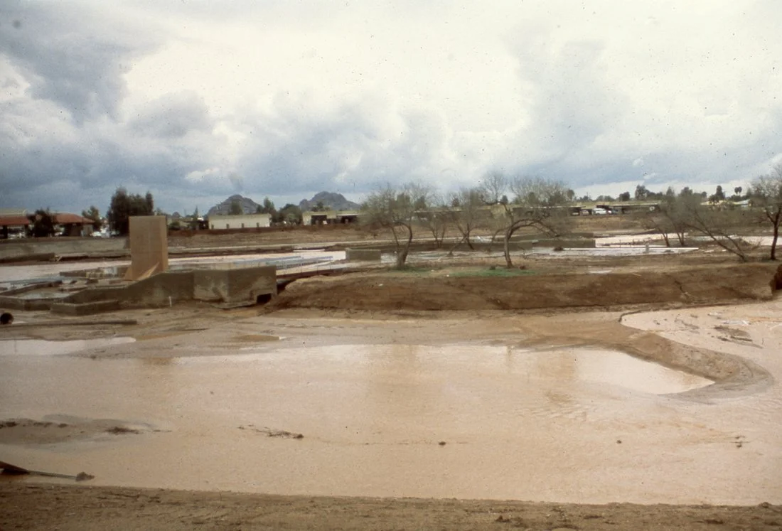 A flooded landscape with muddy water, leafless trees, and cloudy sky, indicating recent rainfall in a semi-arid or desert area.