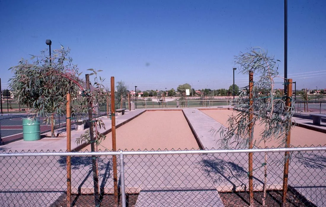 Empty tennis courts with two trees and a chain-link fence in a sunny outdoor park.