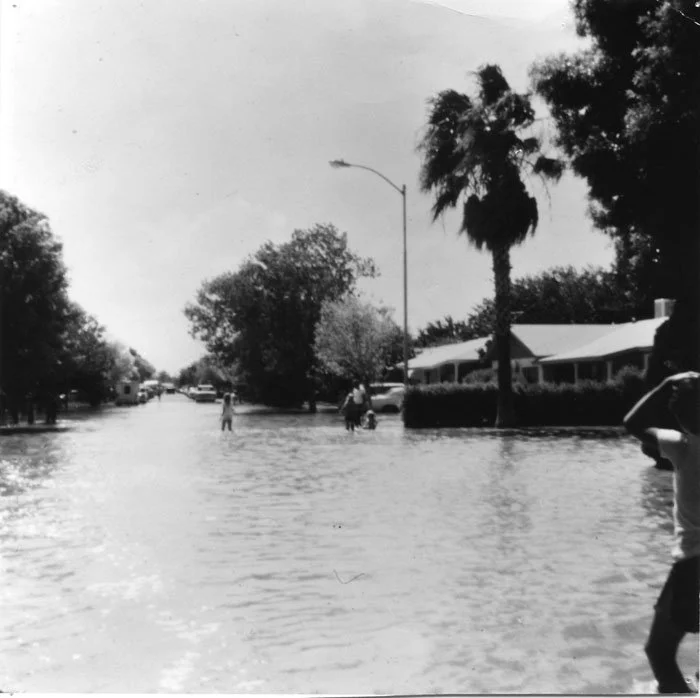 A black and white photo of a flooded street with people wading through the water, trees, a house with a porch, and a palm tree, with cars parked along the side.