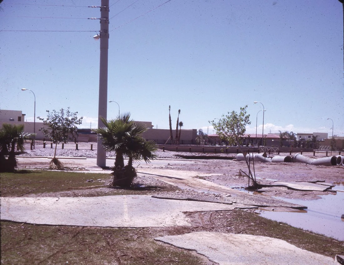 Flooded outdoor area with damaged pavement, fallen palm trees, and large pipes on the ground.