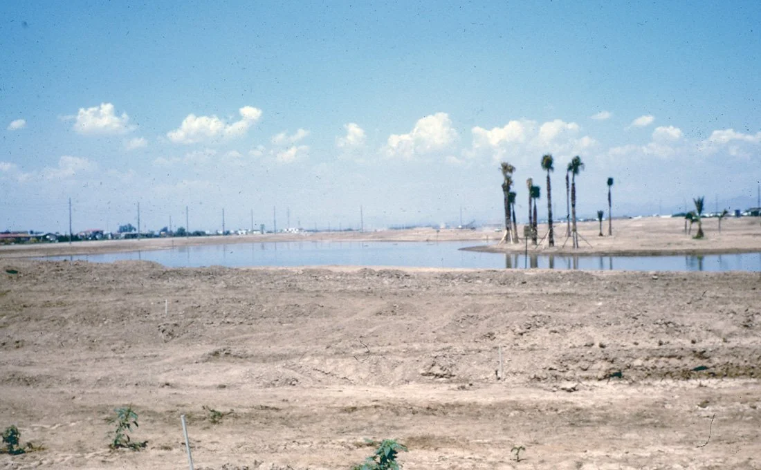 An arid landscape with sparse vegetation, a body of water, and a cluster of palm trees in the distance under a partly cloudy sky.