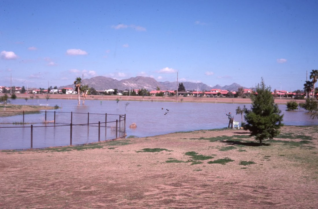 A person standing near a pond with ducks, trees, and mountains in the background under a blue sky.
