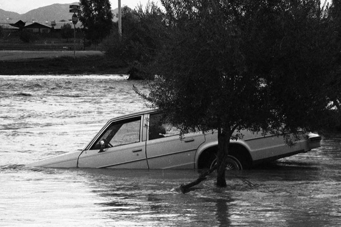 A car partially submerged in floodwaters next to a tree with a large bush on top.