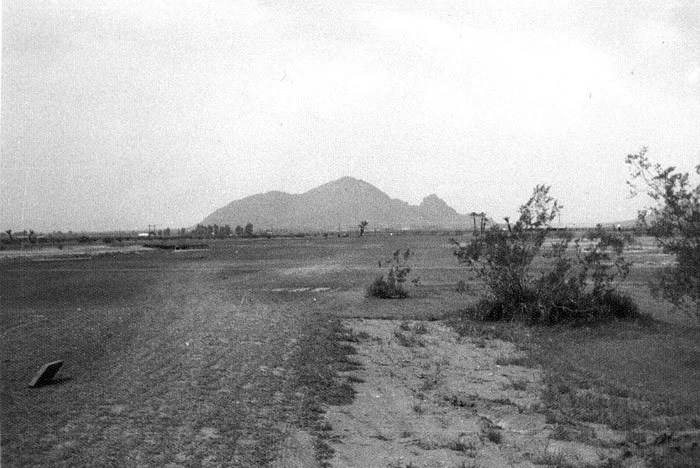 A black-and-white photo of a barren landscape with a distant mountain range, sparse bushes, and a dirt road in the foreground.