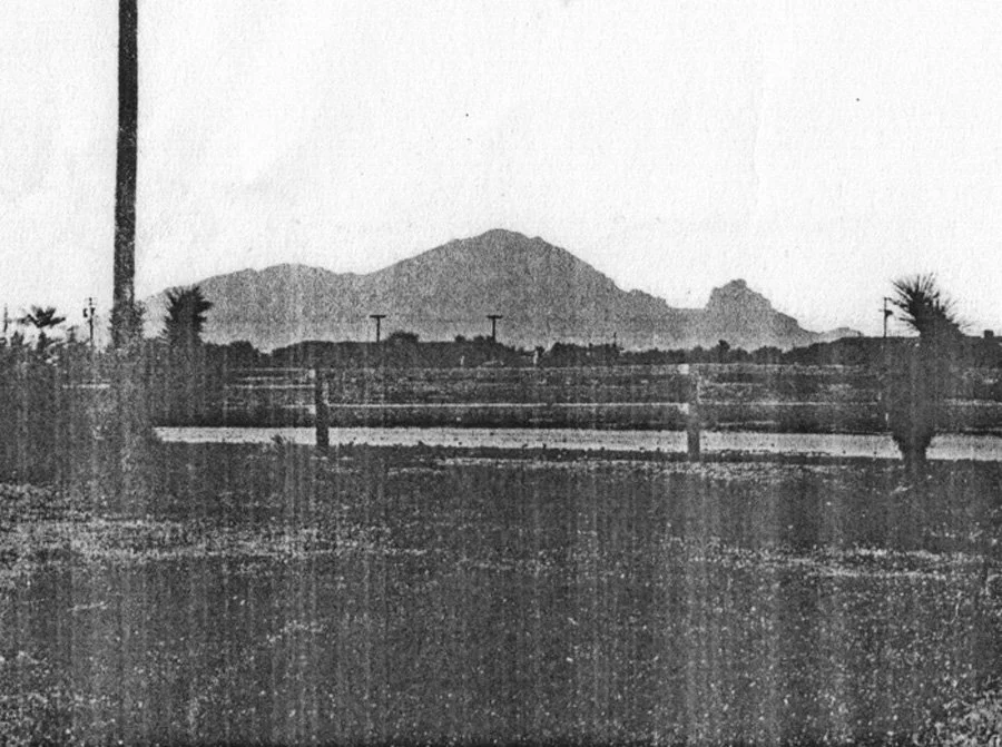 Black and white photo of a mountain landscape with power lines, a fence, and some Palm trees in the foreground.