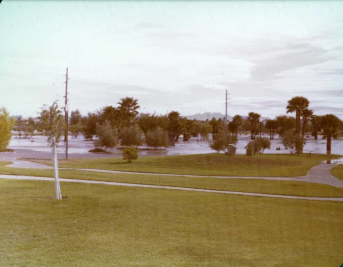 Flooded park with water covering the grass and walking paths, trees in the background, and power lines.