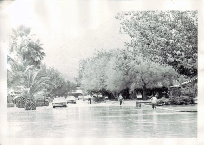 A flooded street with cars parked along the water's edge and people walking through the floodwaters, surrounded by trees and palm trees.