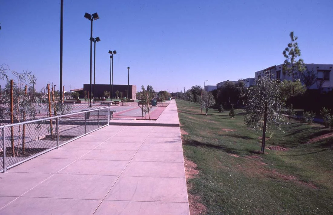 A sidewalk running through a park with young trees and a green grassy area on the right, and a fenced sports court with tall lights on the left, under a clear blue sky.