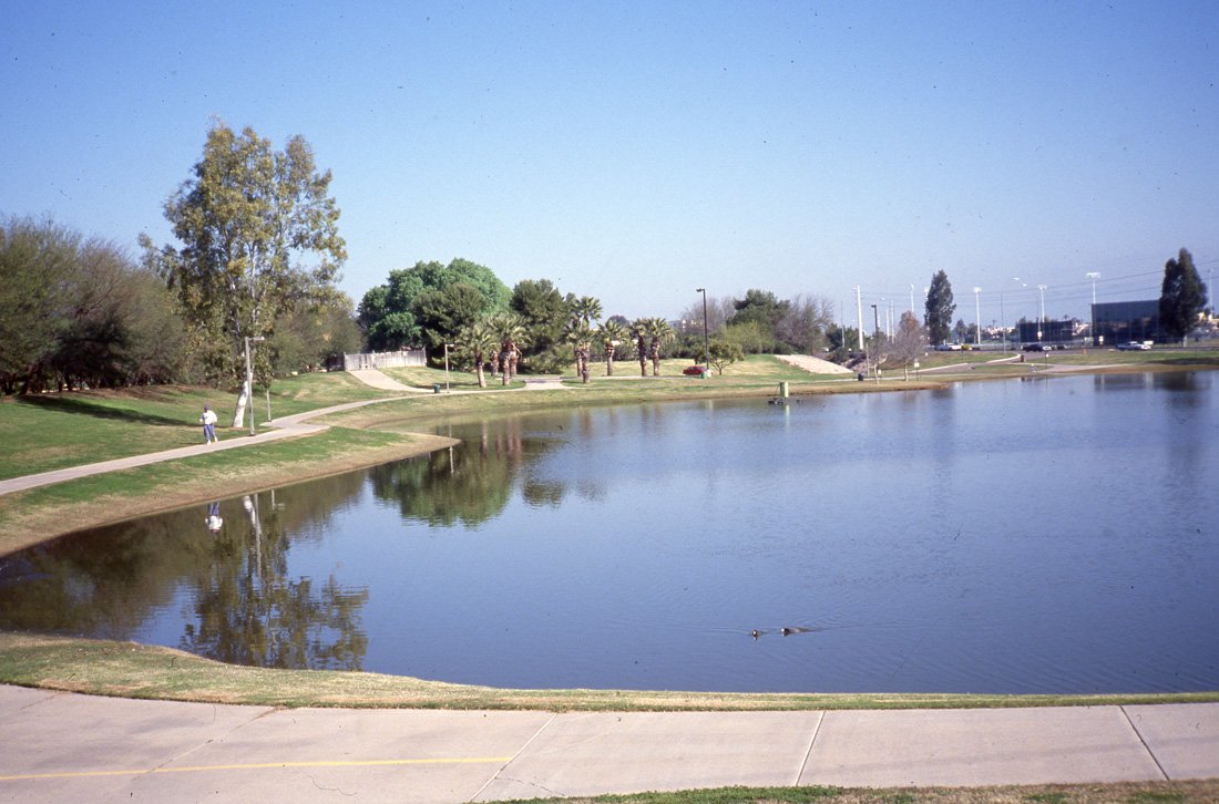 A park with a pond, walking paths, trees, and a person walking along the path. Ducks are swimming in the pond, and there is a clear blue sky.