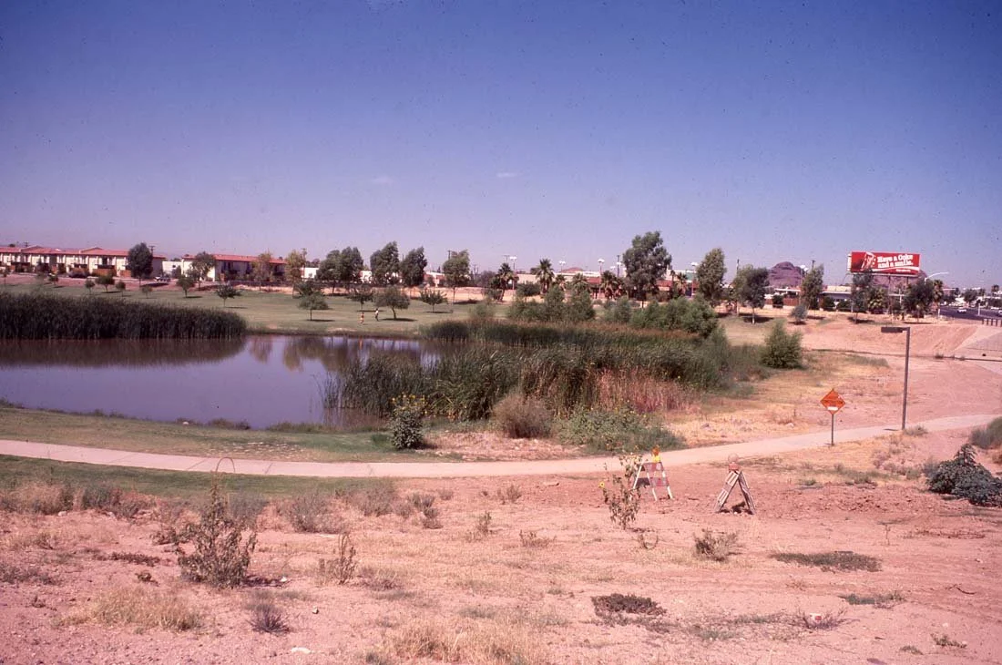 A small pond with tall grass and bushes around it, a walking path nearby, and a commercial area with buildings and a billboard in the background under a blue sky.