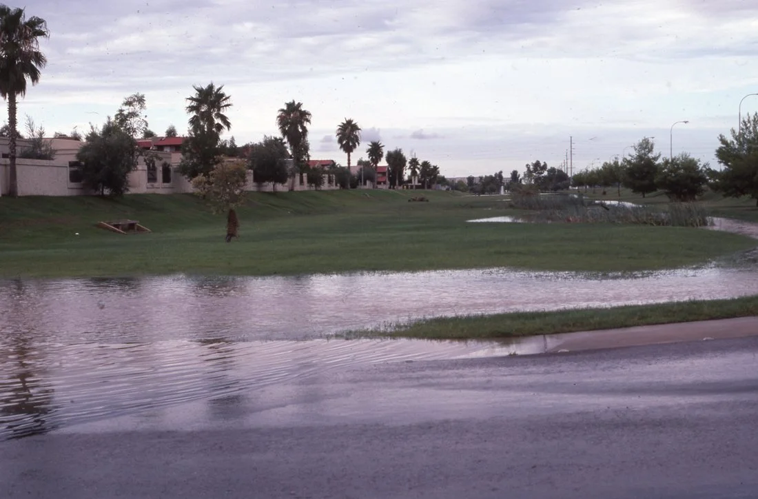 Flooded grassy area with water covering the ground, near residential homes and trees, overcast sky.