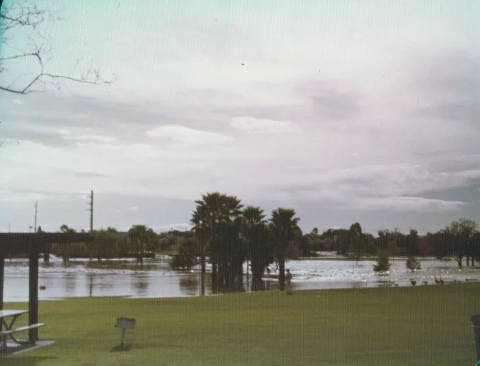 A park with green grass, trees, and a pond under a cloudy sky.