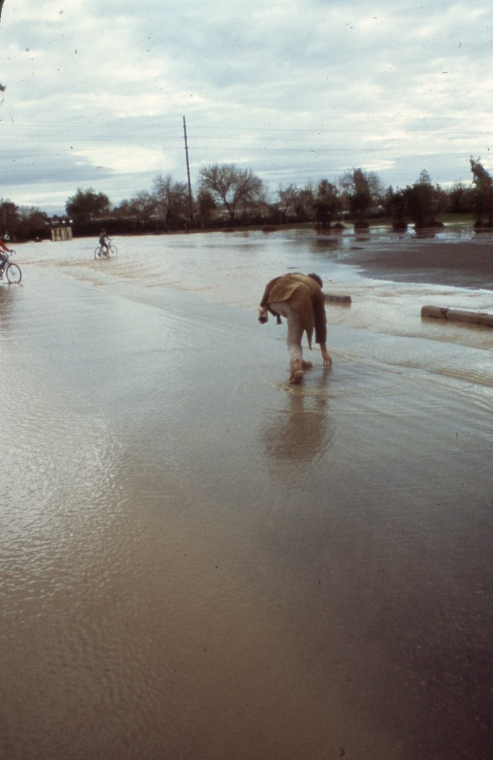 Person bending down to touch or pick up water in a flooded street, with bicycles and trees in the background, under cloudy skies.