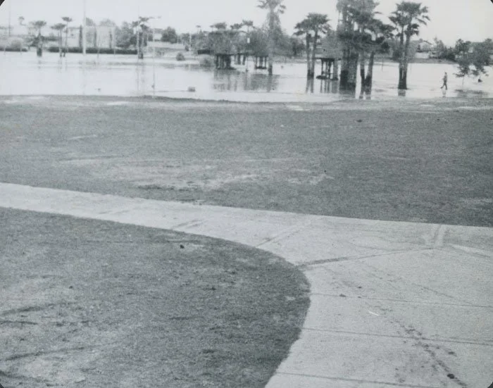 A park with a flooded area, trees partially submerged, and a person walking along the water's edge.