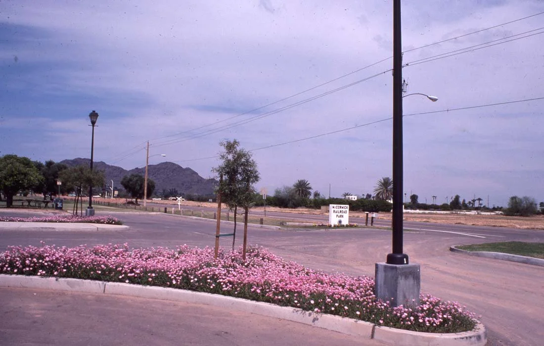 Empty parking lot with pink flowers in landscaped island, trees, and street lamps, with mountains and cloudy sky in the background.
