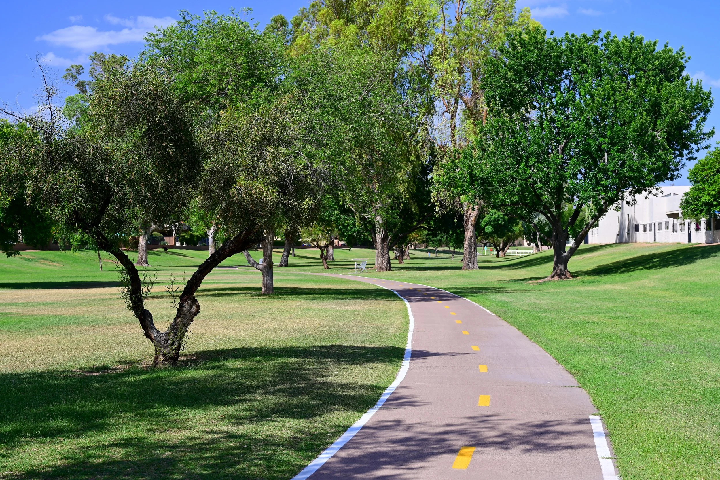 ScottsdaleGreenbeltGuide-084.jpg