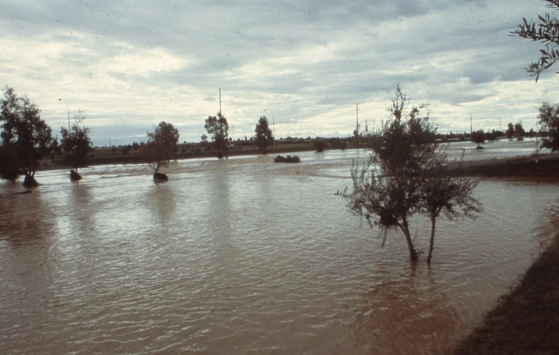 Flooded area with partially submerged small trees and a cloudy sky.