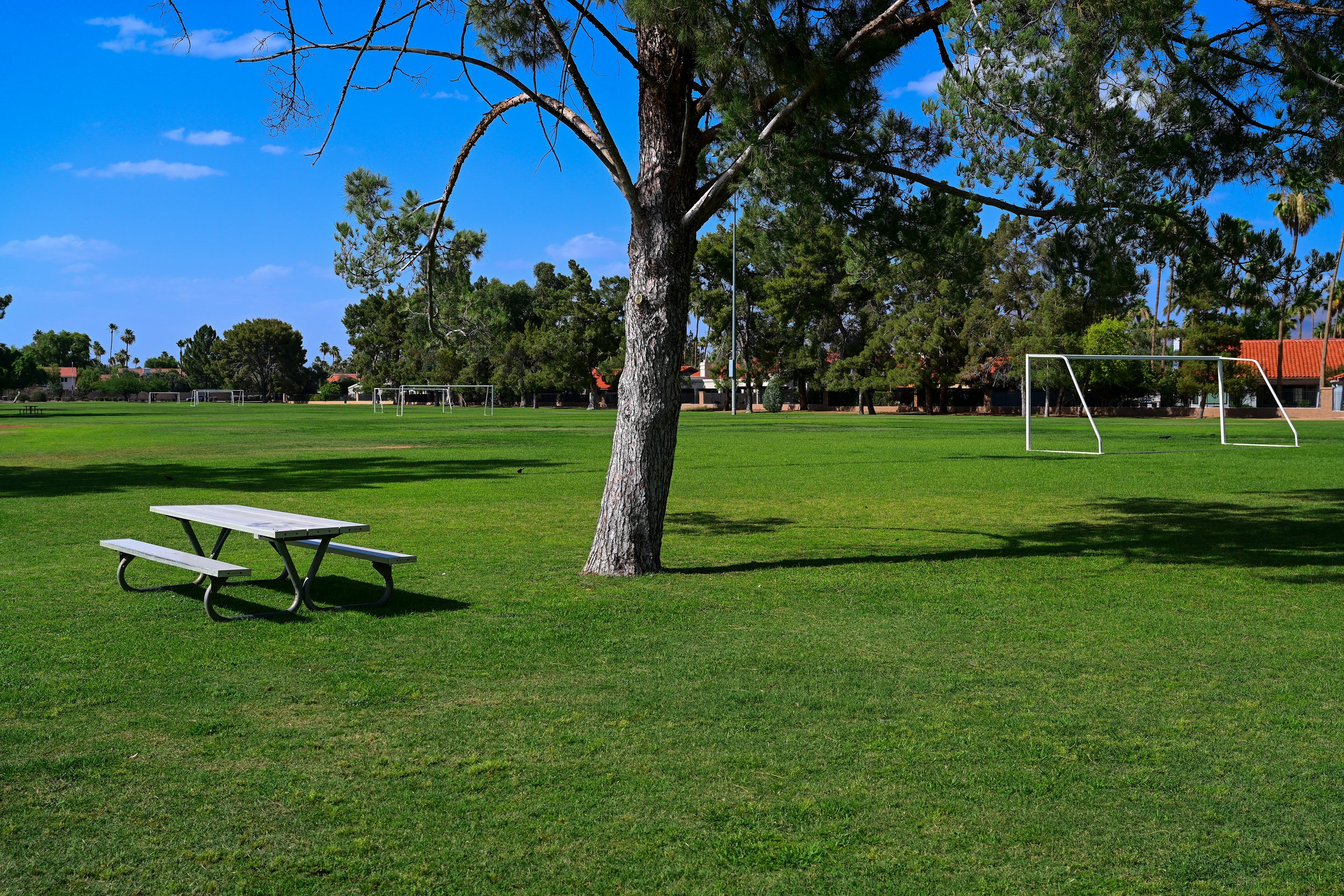 ScottsdaleGreenbeltGuide-093.jpg
