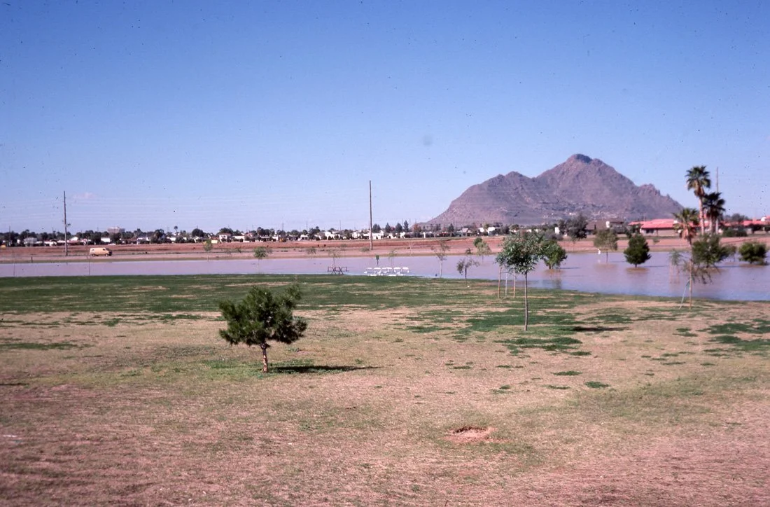 A park with a small tree and patches of grass near a body of water, with a mountain in the background and houses on the other side of the water, under a clear blue sky.