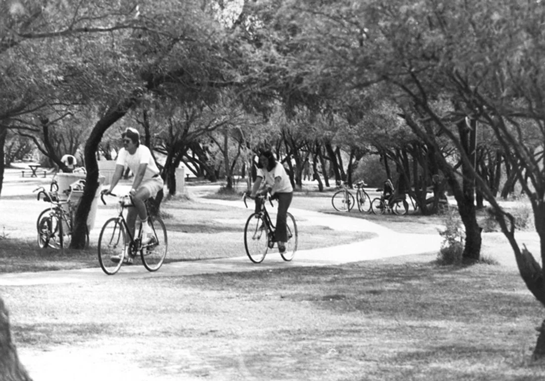 People riding bicycles along a winding path in a park shaded by trees.