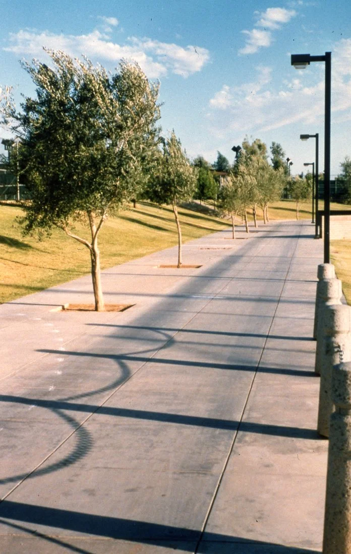 Empty sidewalk with evenly spaced trees and street lamps, cast shadows on the ground, in a park-like setting with grass and a clear blue sky.