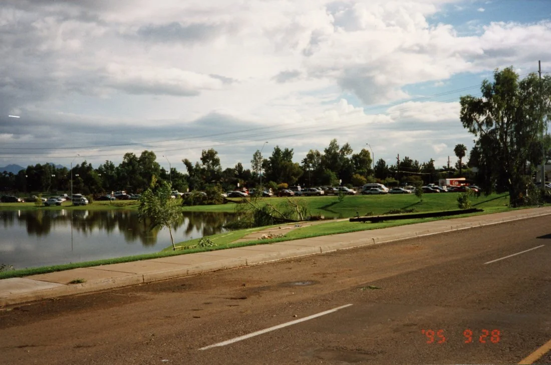 A park with a pond and trees, a grassy area, a sidewalk, and a parking lot filled with cars in the background. The sky is partly cloudy with some sunlight.