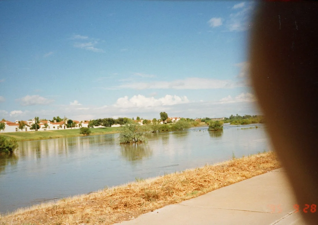 A river with a grassy shoreline and trees on the other side, in a sunny day with a partly cloudy sky. Residential houses can be seen in the background.