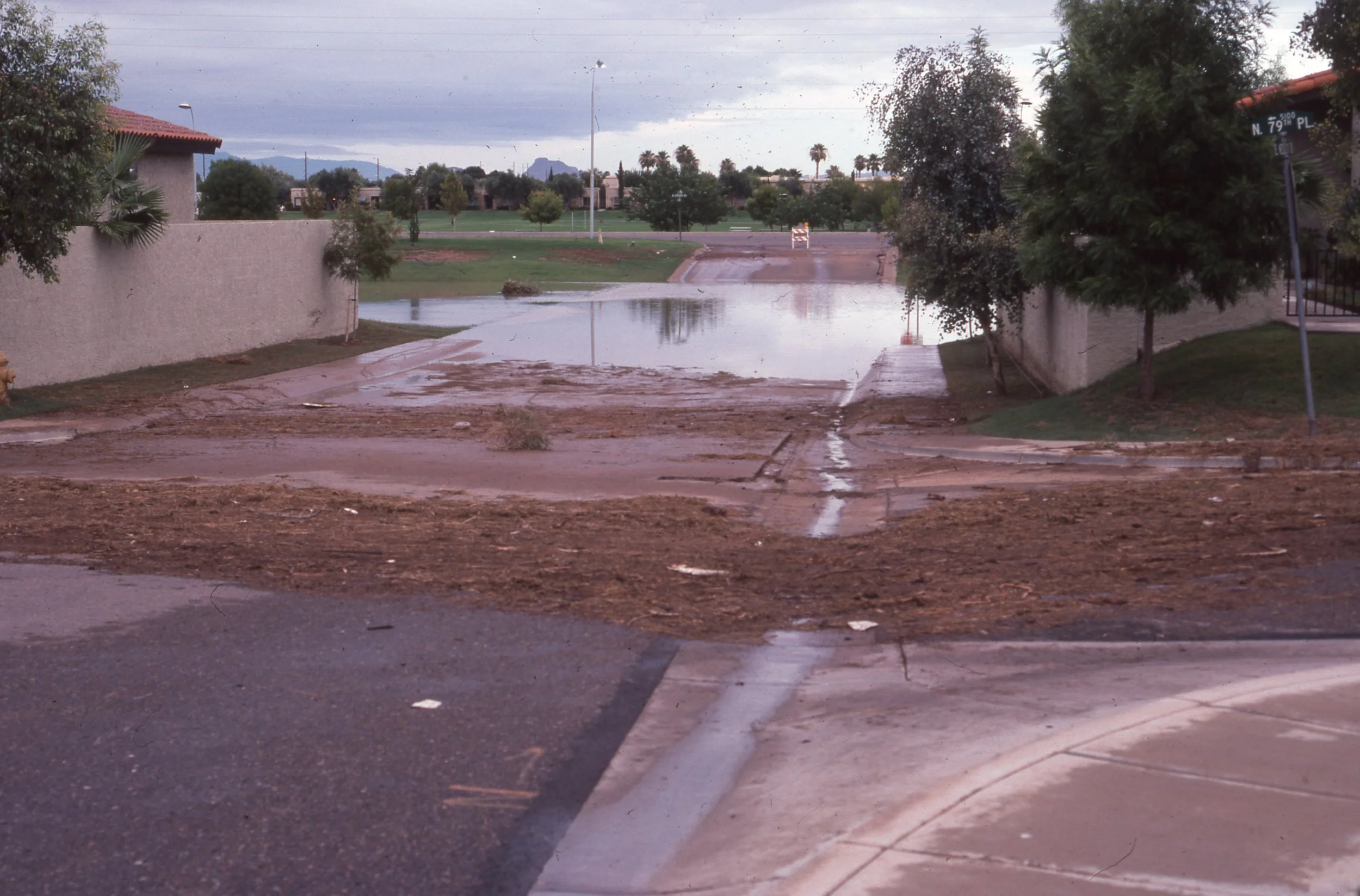 Street scene with flooding, muddy water covering the sidewalk and part of the road, with trees and a cloudy sky in the background.