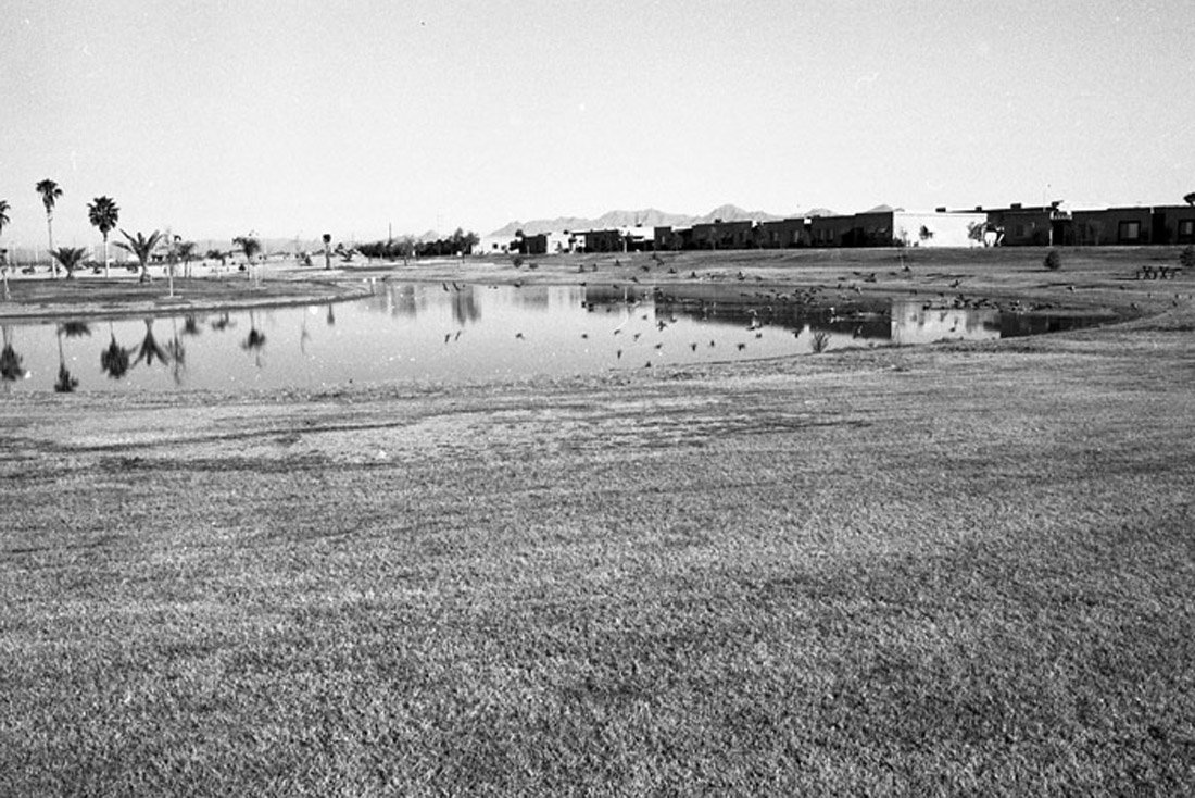 A black and white image of a desert landscape with a small pond, palm trees, and buildings in the background.