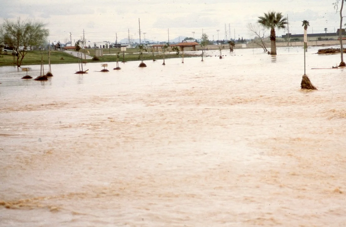 Flooded area with submerged trees, palm trees, and utility poles, indicating heavy flooding in an urban or suburban area.