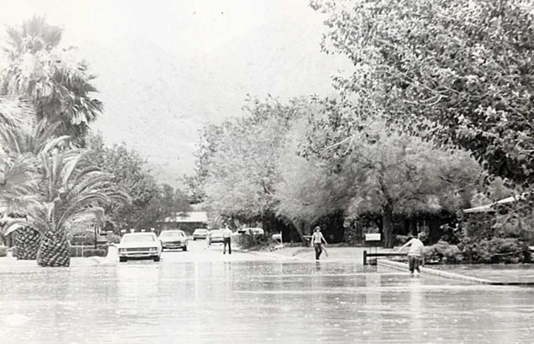 A flooded street with cars and pedestrians, surrounded by trees and palm trees.