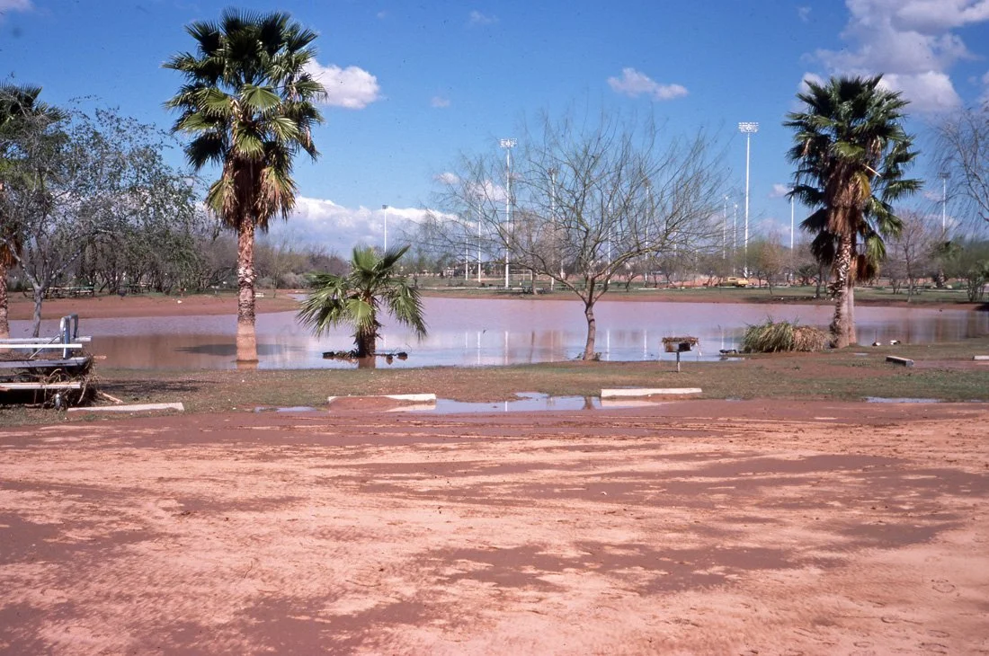 A park with palm trees, a body of water, and a dirt pathway with puddles under a partly cloudy blue sky.
