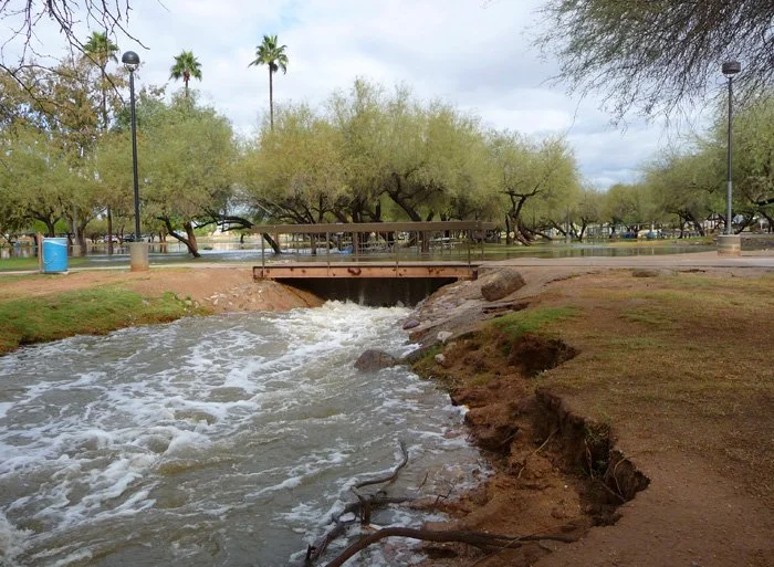 A park with a small creek, a bridge, and trees with green foliage, in an outdoor setting.