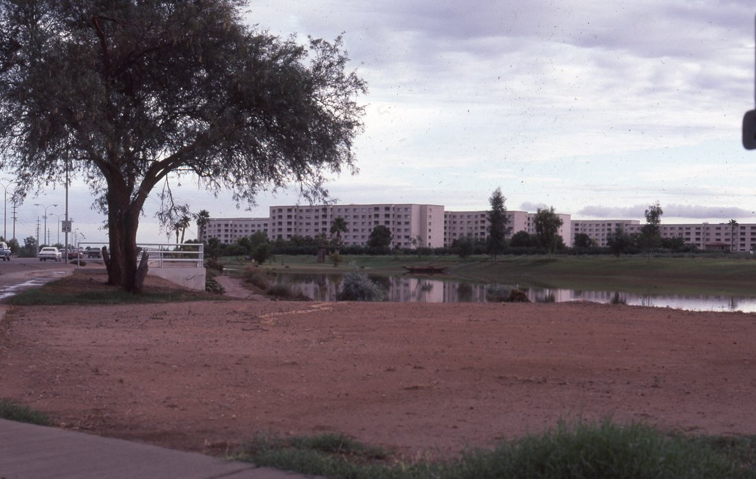 A landscape with a large tree on the left, a body of water reflecting buildings and trees in the background, and a dirt area in the foreground.