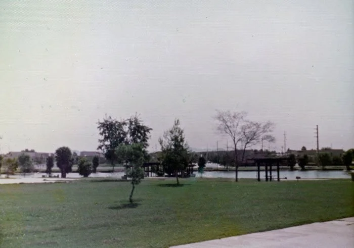 A park with a grassy area, trees, a body of water, and overcast sky.