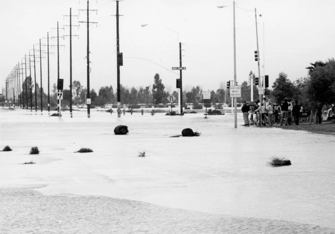 Flooded street with debris, fallen trees, and a group of people gathered on the sidewalk.