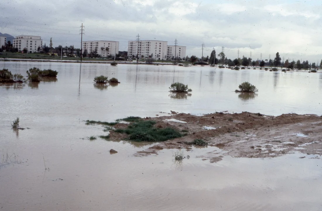 Flooded area with water covering the ground, small bushes partially submerged, and buildings in the background under a cloudy sky.