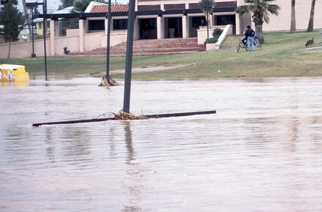 Flooded park with a leaning street lamp, a person with a bike, and a dog in the background