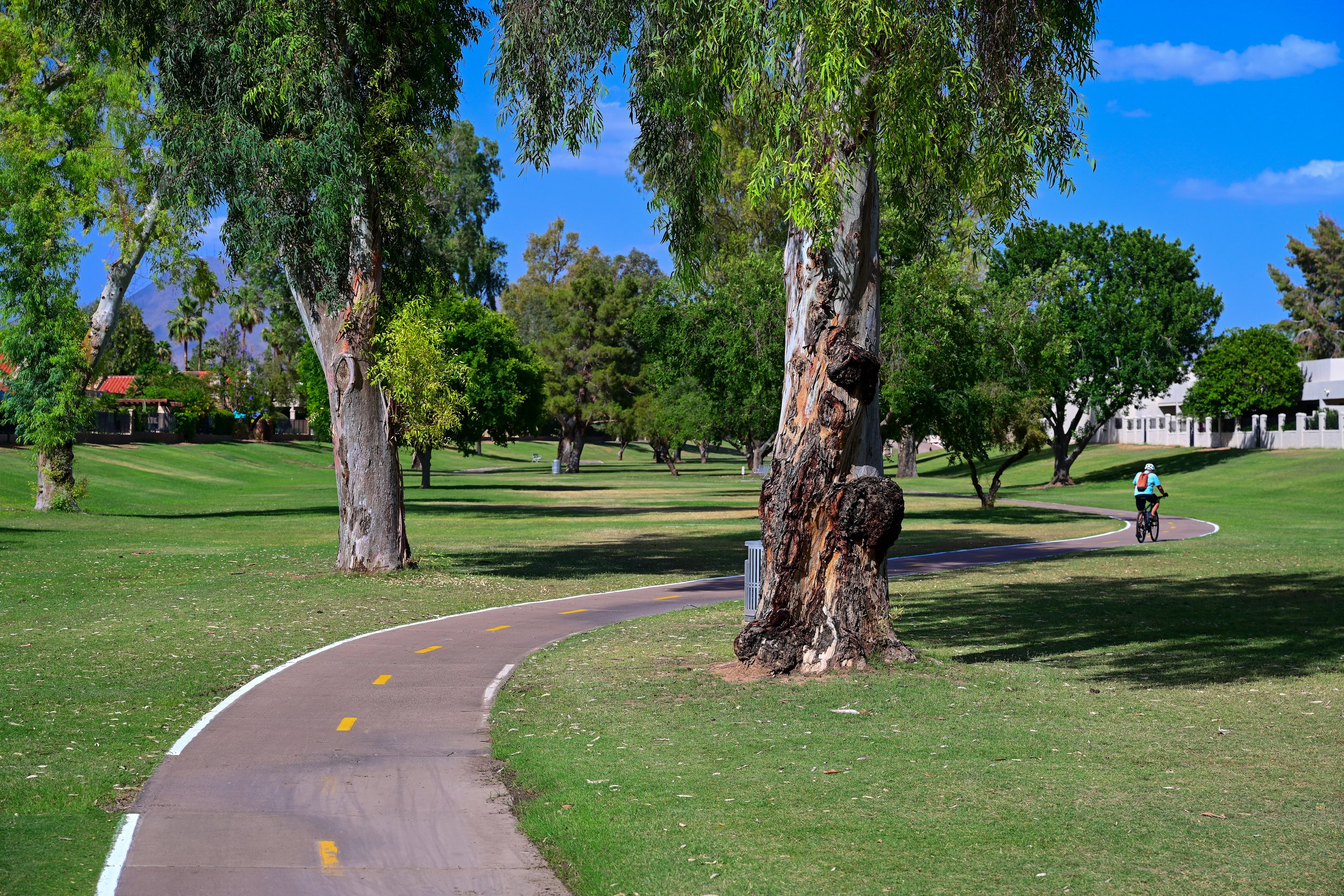 ScottsdaleGreenbeltGuide-086.jpg