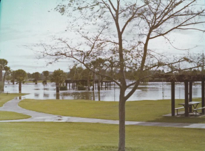 A park with a tree, green grass, a paved walking path, and a body of water in the background, along with a covered picnic area.
