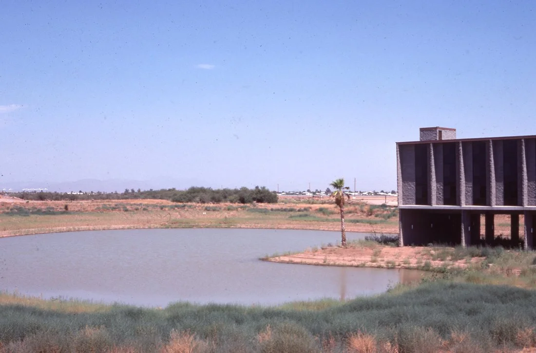 A landscape with a pond, a lone palm tree, and a modern building on the right, under a clear blue sky.