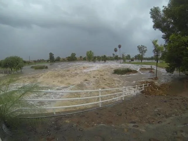 Flooded field with a white fence, trees, and overcast sky.