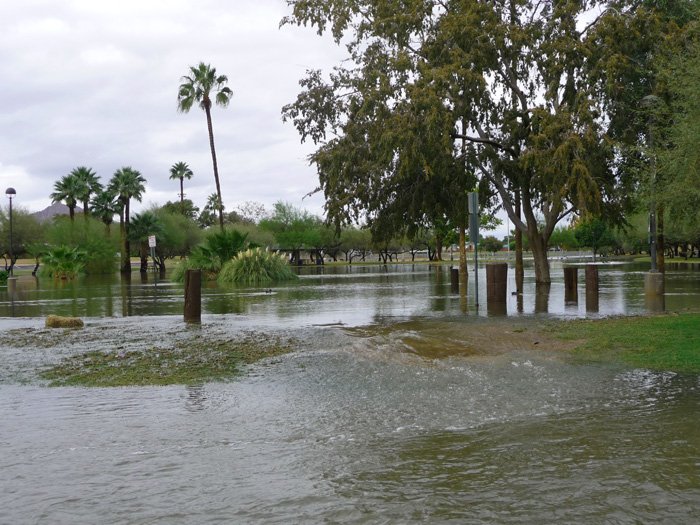 Flooded park with submerged trees, plants, and park benches under water, with some remaining dry areas and overcast sky.