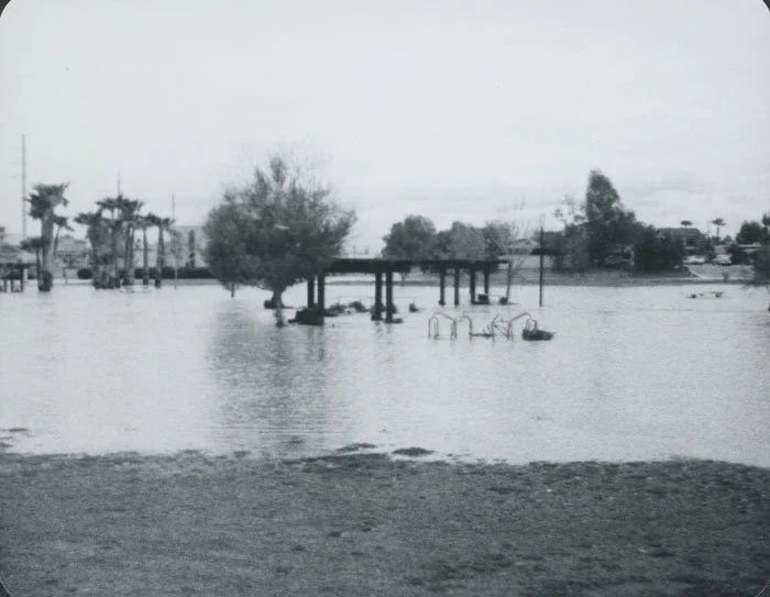 Flooded park with partially submerged trees, benches, and a playground area.