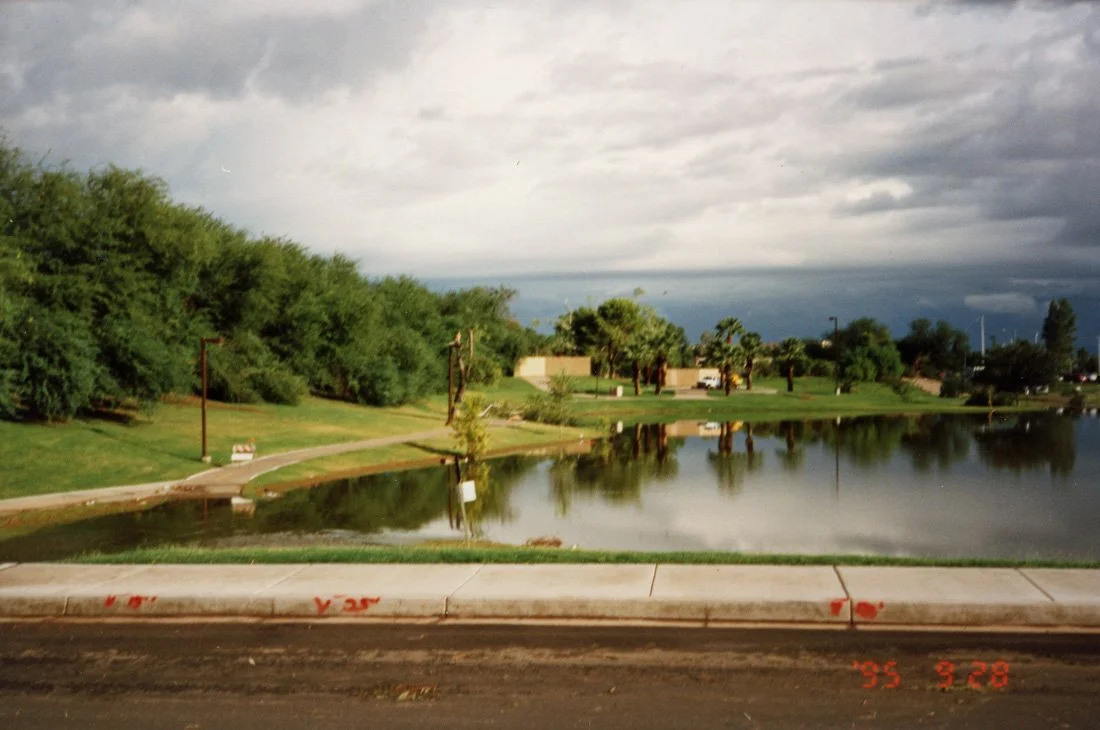 A park with a pond, trees, walking paths, and lamp posts. Reflection of trees and sky in the water, under a cloudy sky.
