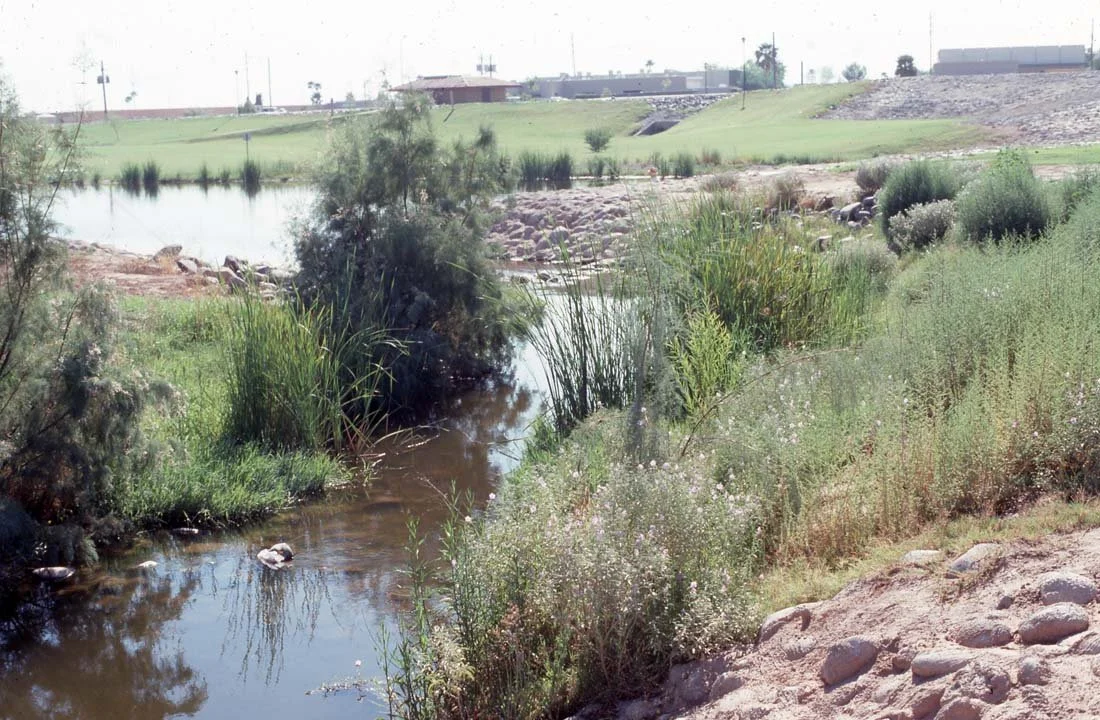 A small creek running through a grassy area with bushes and plants, with a pond and a grassy hill in the background.