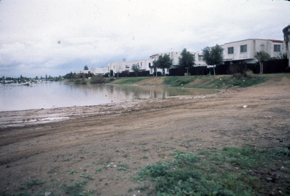 A dirt road beside a body of water with a row of white modern houses and trees in the background.